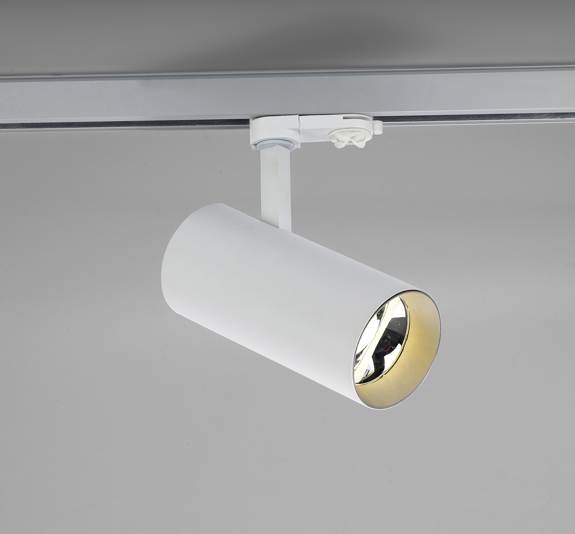 Eos T 20 Tracks Luminaires Dlux Track Fitting 16-29W Eos T 20 Tracks Luminaires Dlux Track Fitting 16-29W